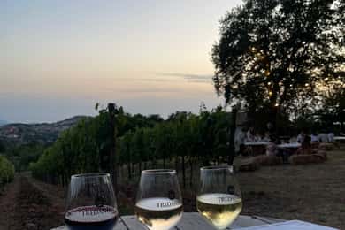 Visit a village by e-bike and taste the excellent wine