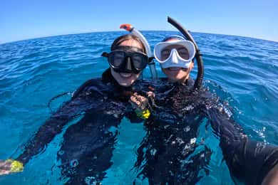 Agnes/1770: Southern Great Barrier Reef Snorkelling Day Trip