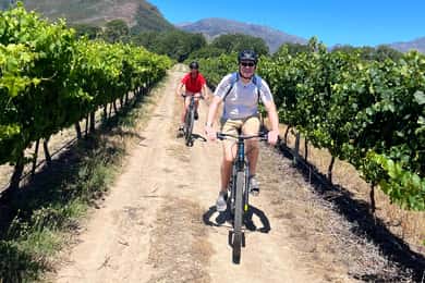 From Cape Town: Franschhoek Vineyards Bike Tour with Lunch