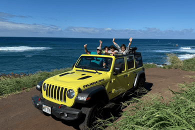 Maui: Private Road to Hana Open-Air Jeep Tour