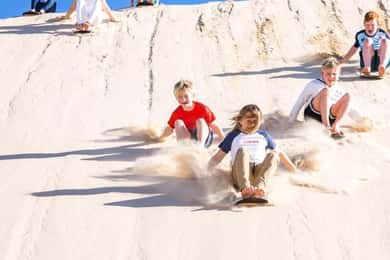 Port Stephens Experience + Sydney Hop-on-Hop-off Bus Ticket