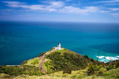 Cabo Reinga: viagem de 1 dia saindo de Paihia, Kerikeri ou Kaitaia