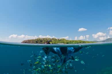 Lombok: Privat Snorkeling Gili Nanggu, Gili Sudak, Gili Kedis.