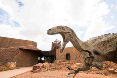 De Longreach: Excursão de 1 dia a Outback Winton