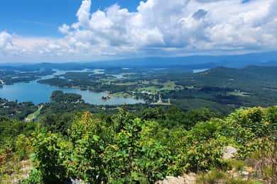 Estilingue de Atlanta Norte: Visita guiada a Bell Mountain