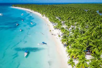 Saona Island: Beach & Natural Pool Small-Group Tour w/ Lunch