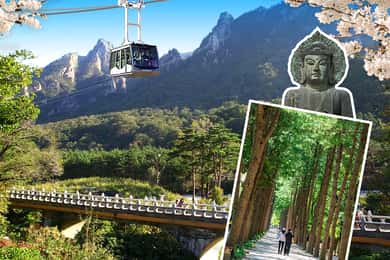 Seoul: Mt.Seorak, Nami Island & Korean Garden, No Shopping