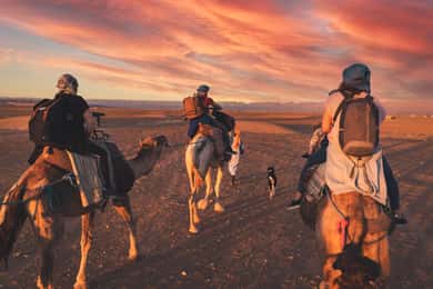 Desde Marrakech: safari de 2 días por el desierto de Zagora con comida y campamento