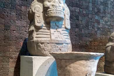 Guided Tour of the Museum of Anthropology