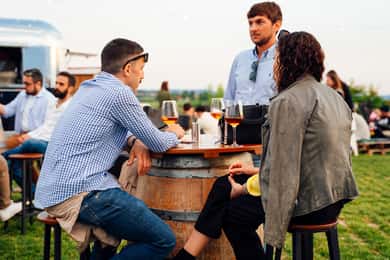 Lake Garda: Wine Tasting with Panoramic View