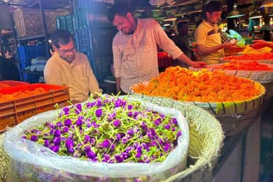 Mumbai by Dawn: Marknadsrundtur med blommor, fisk och mycket mer
