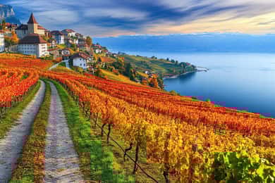 Private day trip: Geneva to Lavaux Vineyards, Nyon & back