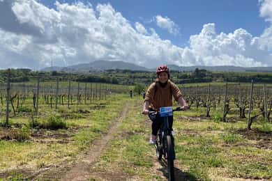 フラスカーティ：電動自転車でのツアーとワインの試飲付き