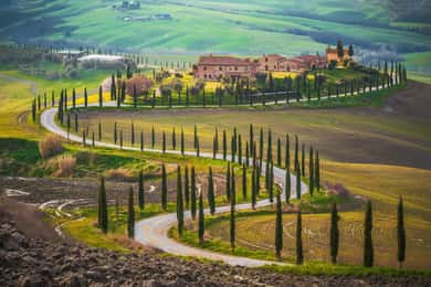 From Rome: Private Day-Tour of Tuscany