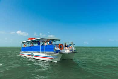 St. Augustine Wildlife Adventure: Boat Cruise & Kayak Tour