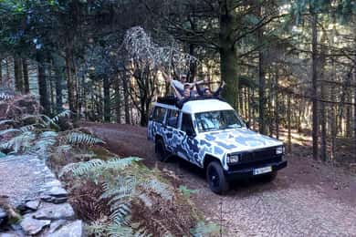 Madeira: 4 hours Classic Jeep tour in Central Madeira