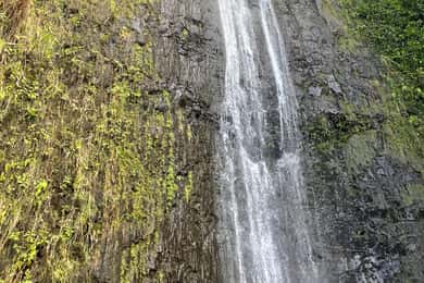 Oahu: Manoa Falls Hike and east side beach day