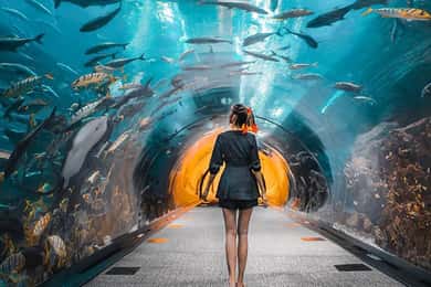 Dubai: Stadtführung mit Burj Khalifa und Unterwasser-Zoo Ticket