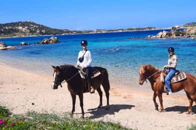 From Palau: minibus tour and horseback ride in La Maddalena