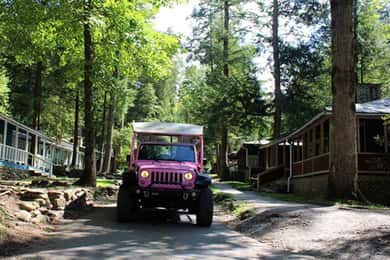 Pigeon Forge: Elkmont Historic District Tour