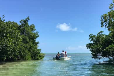 Cayo Hueso Excursión en lancha por los Manglares y los Bares