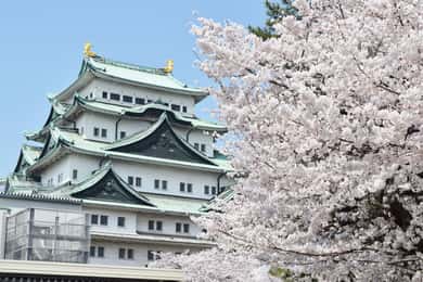 Nagoya: English-Guided Jogging Tour of the City (2 hours)