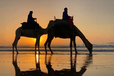 Combo de quad y paseo en camello: La emoción se une a la tradición