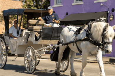 Charleston, SC: Private Daytime Horse-Drawn Carriage Ride