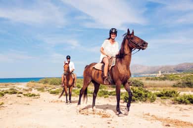 Soma Bay: Horse Riding Tour with Hotel Transfer