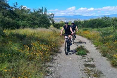 MTB Bike Tour: Tule Tree through the country-side