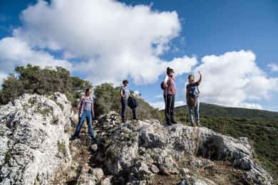 Delphi: Ancient Footpath Guided Hike