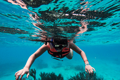 Tulum: 2-Hour Snorkeling in Two Spots of Tulum's Reef
