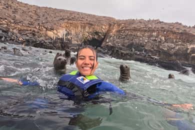 Da Lima: Isole Palomino, nuoto con i leoni marini e tour in yacht