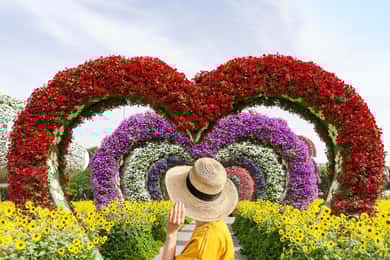 Biglietto d'ingresso al Miracle Garden con trasferimento in hotel