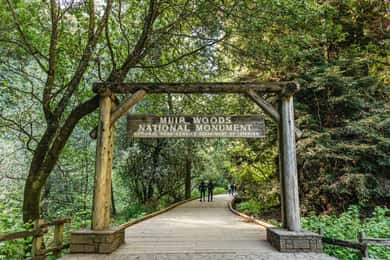 Från San Francisco: Guidad tur i Muir Woods