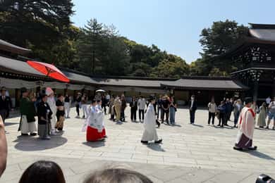 Tokyo/Yokohama/Kamakura: Guided Walking Experience
