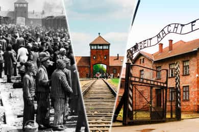 Desde Cracovia: Excursión Auschwitz-Birkenau con transporte