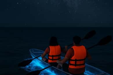 Titusville: Bioluminescent Clear Kayak Tour