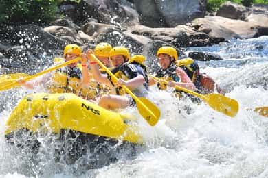 Katmandú o Pokhara: Rafting en aguas bravas - 1 día