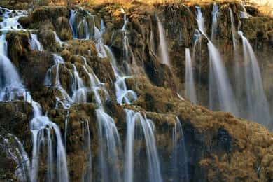 Da Spalato o Trogir: tour guidato di un giorno intero ai laghi di Plitvice
