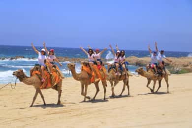 Beach CAN-AM SXS X3 & Camel Ride in Cabo by Cactus Tours