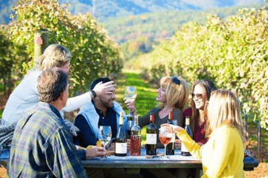Santiago: Tour de Cata de Vinos del Valle del Maipo con 4 Viñas