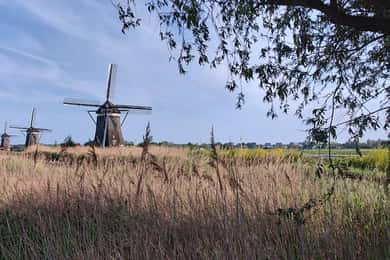Amsterdam & Platteland Privétour per premium auto