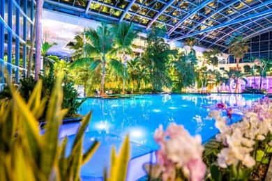 Complete transportation to Therme Spa( go and return)