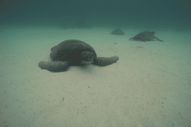 San Cristobal 360 in Galapagos full-day tour
