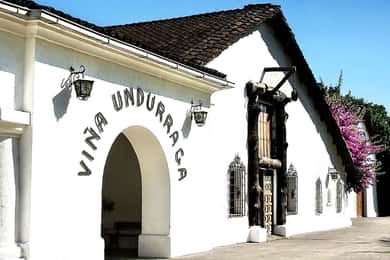 Santiago: Viña Undurraga Vineyard Tour with Wine Tasting