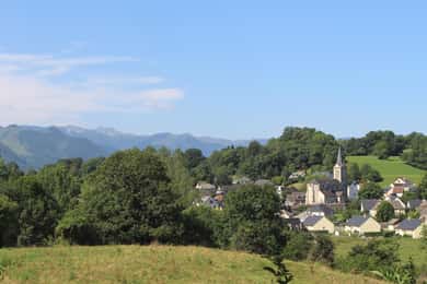 Guided Nature Walk to Bartrès with a Pyrenean Mountain Dog