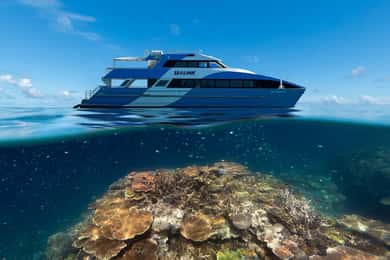 Airlie Beach: Outer Barrier Reef Snorkeling Day Trip