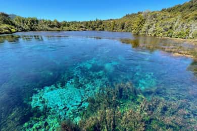 Nelson: Golden Bay in a Day Tour