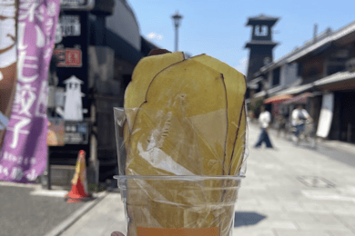 FROM TOKYO - EXPLORE LITTLE EDO & CRAFTS WALKING TOUR